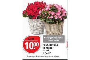 plus betulia in mand voor eur10 00