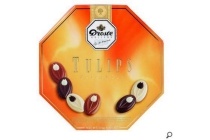 droste tulips selection