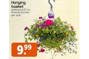 hanging basket