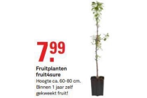 fruitplanten fruit4sure