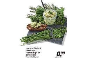 horeca select bieslook rozemarijn of peterselie