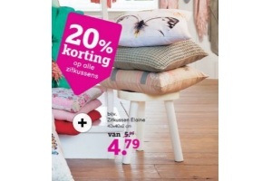 zitkussens leen bakker