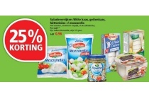 saladeverrijkers witte kaas geitenkaas huettenkaese of mozzarella