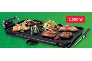 teppan yaki grill