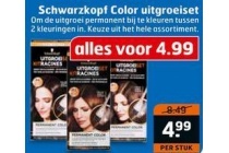 schwarzkopf color uitgroeiset