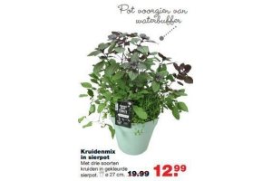 kruidenmix in sierpot