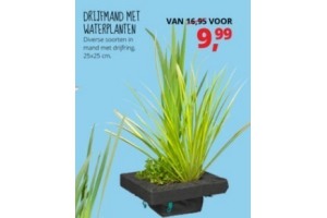 drijfmand met waterplanten