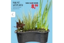 mand met waterplanten