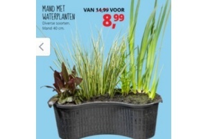 mand met waterplanten