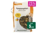 pompoenpitten holland en barrett