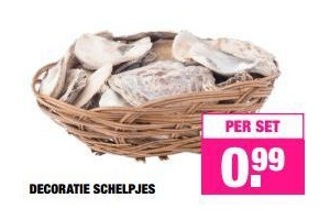 decoratie schelpjes