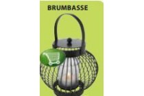 brumbasse