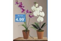 textielplant