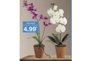 textielplant