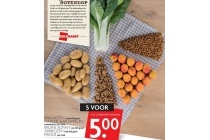 schijf van vijf