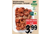 weidevelden biefreepjes teriyaki