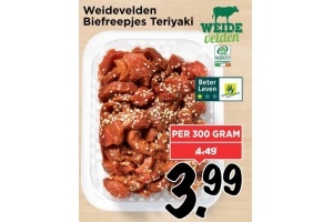 weidevelden biefreepjes teriyaki