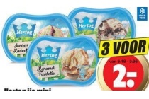 hertog ijs mini