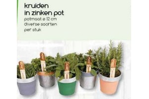 kruiden in zinken pot