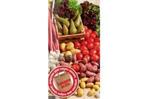 vul een tas met groente en fruit