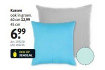 kussen ook in groen 60 cm eur12 99 en 45 cm eur6 99