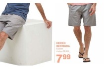 heren bermuda