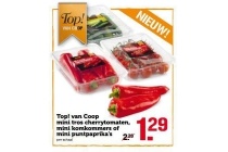 top mini tros cherrytomaten mini komkommers of mini puntpaprika s