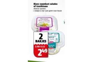 bieze rauwkost salades of tzazikisaus