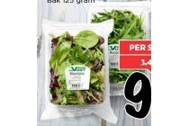 mesclun of rucola sla