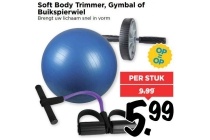 soft body trimmer gymbal of buikspierwiel