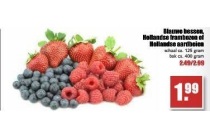 blauwe bessen hollandse frambozen of hollandse aardbeien schaal ca 125 gram bak ca 400 gram