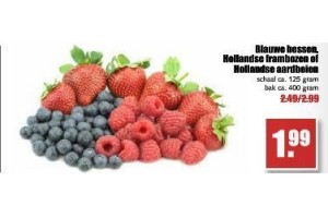 blauwe bessen hollandse frambozen of hollandse aardbeien schaal ca 125 gram bak ca 400 gram