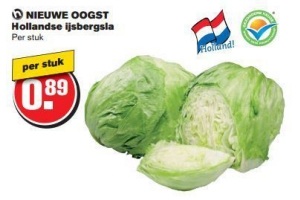 nieuwe oogst hollandse ijsbergsla