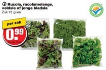 rucola rucolamelange veldsla of jonge bladsla