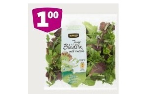 jumbo eikenbladsla gemengde salade jonge bladsla veldsla jonge bladsla rucola romaine sla of mesclun melange nu voor eur1