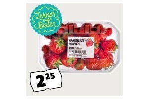 jumbo hollandse aardbeien bak 500 gram eur2 25