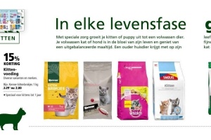 kittenvoeding