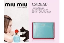 miu miu pouch