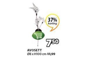 avosett lamp