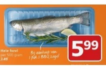 hele forel