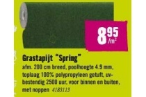 grastapijt spring