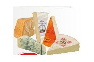 plus ambachtelijke roombrie camambert rustique gorgonzola grana padano of port salut