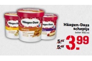 haeagen dazs schepijs