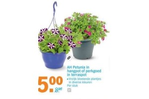 ah petunia in hangpot of perkgoed in terraspot voor eur5 00