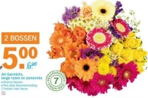 ah germini s lange rozen en zomermix 2 bossen voor eur5 00