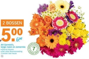 ah germini s lange rozen en zomermix 2 bossen voor eur5 00