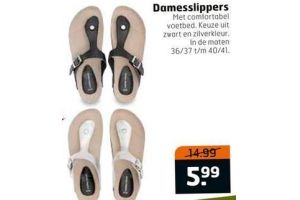 damesslippers