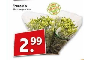 freesia s