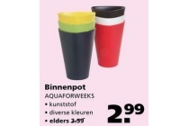 binnenpot