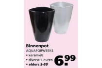 binnenpot keramiek